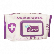 Aryuv Antibacterial Wipes 80S