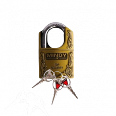 Bd Mindy Padlock Blister 40Mm