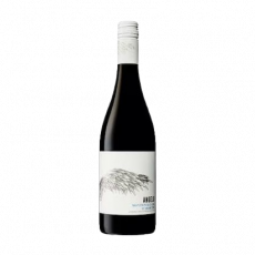 Angelo Montepulciano Dbruzzo Red...