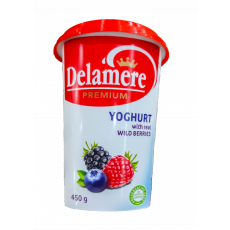 Delamere Wildberries Yoghurt 450Ml