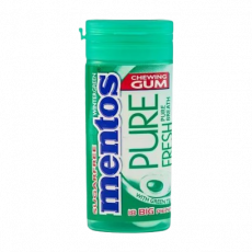 Mentos Wint.green Chwing Gum31.5G