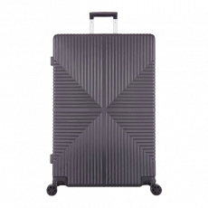 Dk Abs Heavy Suitcase 4 Wheel 21