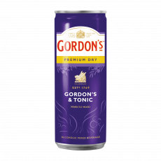 Gordon's And Tonic Beer