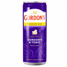 Gordon's And Tonic Beer