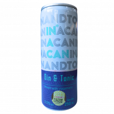 Inacan Gin & Tonic 250Ml