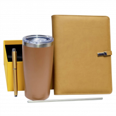 Executive Gift Set(Gold)