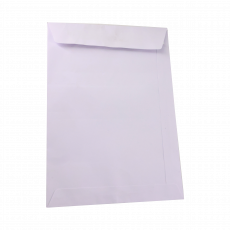 Exp C5 White Envelope...