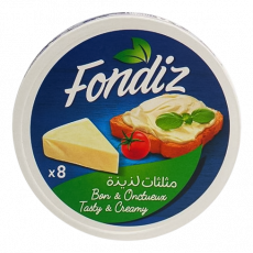 Fondiz Triangle - 8 Pieces. - 102G