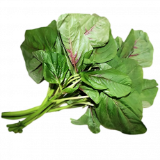 Managu


 Per Bunch