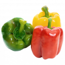 Trio Capsicum
 
Per
 Kg