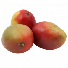 Tommy Mango
 Per Kg