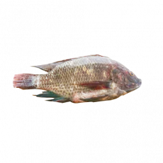 Whole Tilapia  Per 400G
