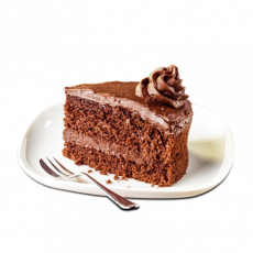 Chocolate Fudge Cake Slice