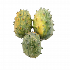 Thorn Melon Per Pc