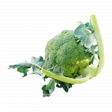 Brocolli  Per 500G