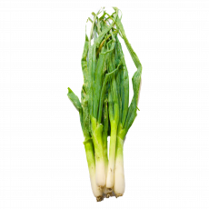 Spring Onion  Per 500G