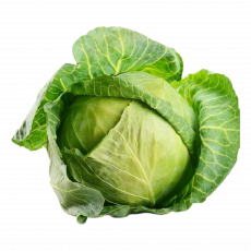 White Cabbage  Per 500G