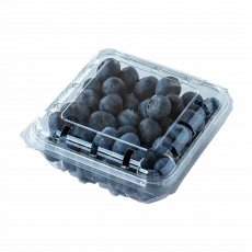 Packed Blue Berries(125Gm)
