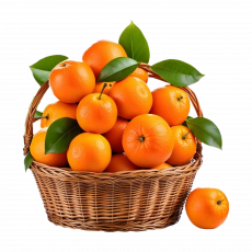 Imported Oranges  Per 500G