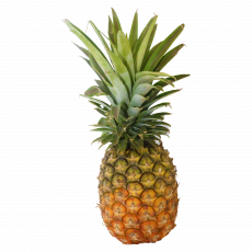 Delmonte Gold Pineapple Per Kg