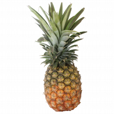 Delmonte Gold Pineapple  Per 1.8 Kg