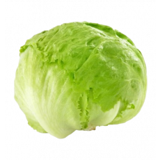 Lettuce Iceberg Pack