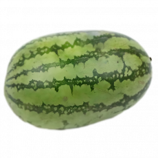 Water Melon Per Kg