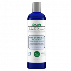 Anti Bacterial Shampoo 2Lts